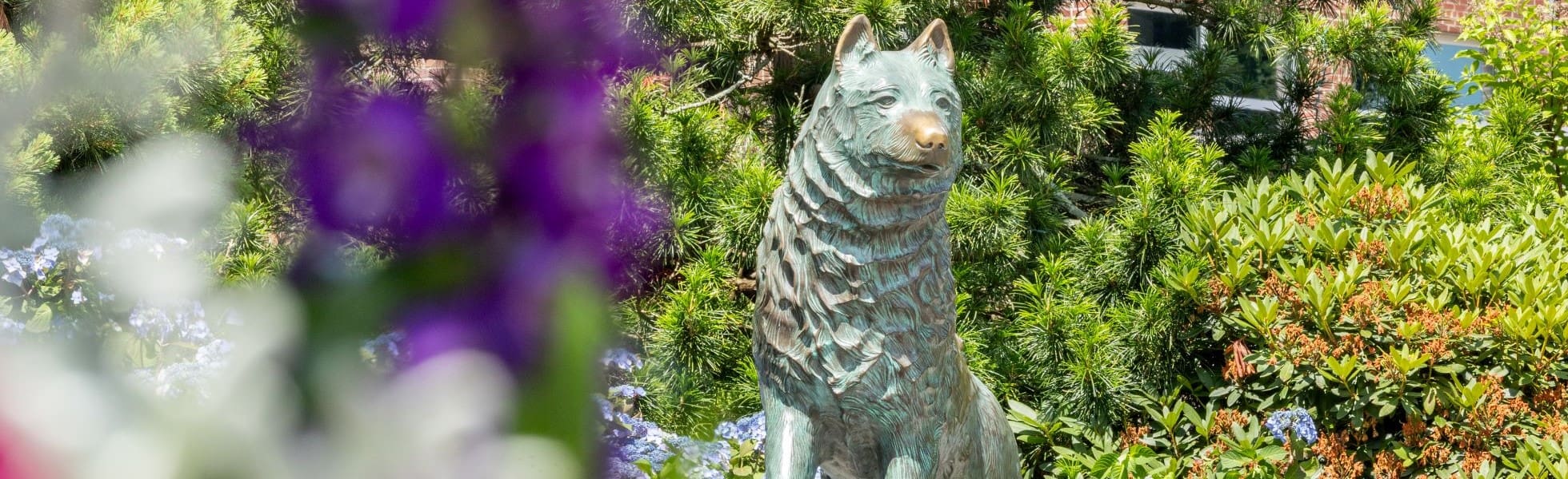 Jonathan the Husky statue